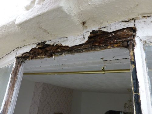 the rotten fanlight window and why it was not cost effective to restore the casement window in worthing west sussex